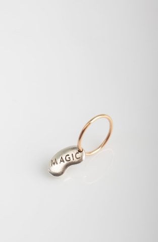 Magic / Luck Bean Charm