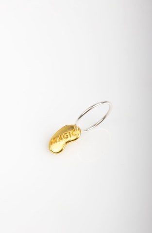 Magic / Luck Bean Charm